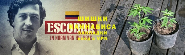 бошки Алзамай