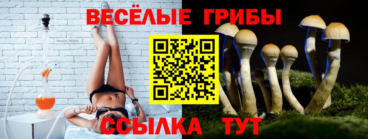 Галлюциногенные грибы ЛСД Подольск